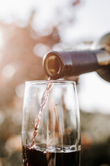 Pouring red wine into the glass against sunset and vine field background