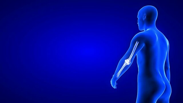 Elbow Pain animation from rear view - close-up. Blue Human Anatomy Body 3D Scan render - seamless loop on blue background