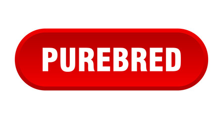 purebred button. rounded sign on white background