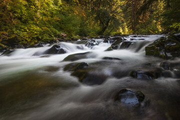 The stream leading up to Sol Duc Falls, Olympic National Park.
