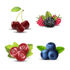 Realistic Detailed 3d Raw Berries Set. Vector