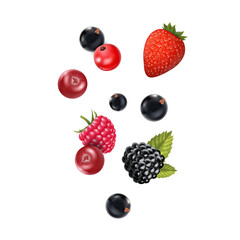Realistic Detailed 3d Different Types Raw Berries Set. Vector