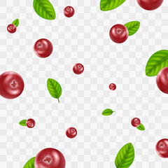 Realistic Detailed 3d Red Cranberry Berries Seamless Pattern Background. Vector