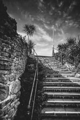 black and white photo of vintage brick stairs leading up to seaside promenade surrounded by brick walls and with a palm tree at the top of stairs