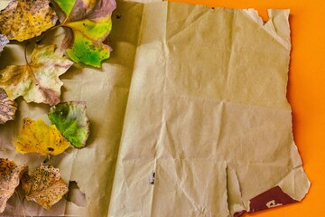 Background with autumn leaves on the texture of old paper. Halloween concept.