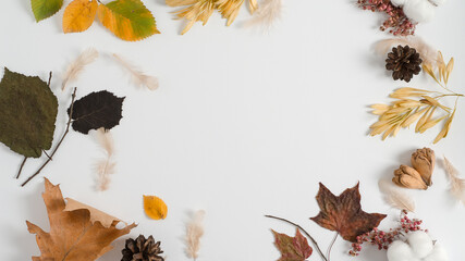 Layout of autumn dry materials of different trees on a white background. Copy space, flat lay, autumn frame concept