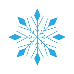 
Delightful snowflake isolated on a white background. Winter decor elements for postcards, wrapping paper, banner, magazine and more. Stock vector illustration for decoration and design