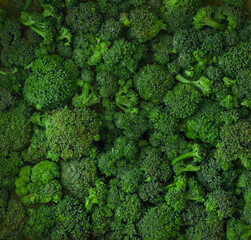 Broccoli cabbage inflorescences in water. Green vegetables. Background, texture. Top view, flat lay, copy space.