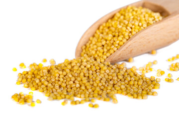 Wooden spoon with millet isolated on white