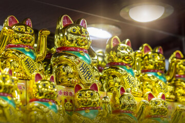 Chinesische Glückskatzen in Gold