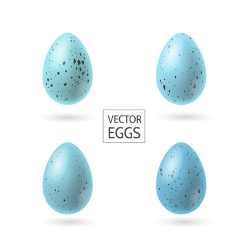 Set of decorative realistic Robbin eggs vector illustration as decorative element for Easter. Spotted blue eggs. - Vector