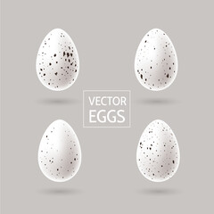 Set of realistic Quail eggs vector illustration. Spotted white small eggs. - Vector