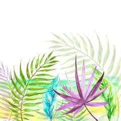 Obraz premium Tropical plants, leaves, wild grass. Underwater world, seabed, seaweed in watercolor. Watercolor illustration, banner, background. World of aquariums.