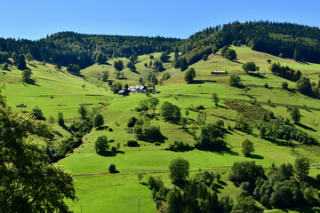 Schwarzwald