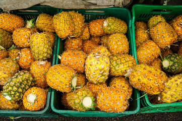 Pineapples at a market in San Jose, Costa Rica