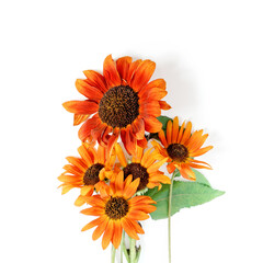 Autumn composition. Dry flowers, leaves and plants is on a white background. Flat lay, copy space.