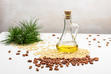 Unshelled cedar nuts. Pine nut kernels and green pine tree branch.