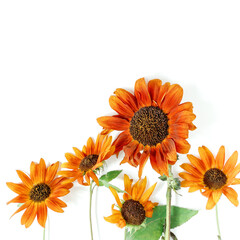 Autumn composition. Dry flowers, leaves and plants is on a white background. Flat lay, copy space.