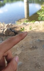 바위, sky, 경관, 물가, 네이처, hand, 마운튼, 모래, 돌, 바다,  여름, 등반, 바위, blue, 절벽, 연안, 여행, 높다, 아웃도어, 사막, beautiful, 대양,곤충