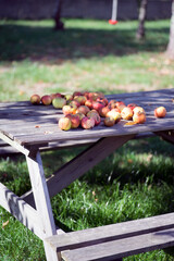 Apples on a wood table 