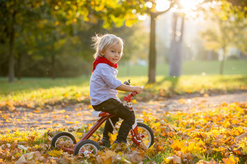 Beautiful blonde two years old toddler boy, riding red tricycle in the park on sunset