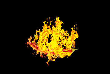 Brennender Chili-Pfeffer auf einem schwarzen Hintergrund