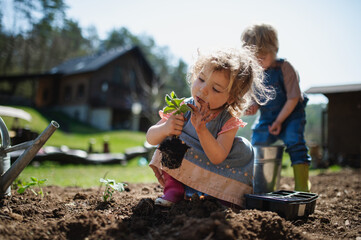 Small children working outdoors in garden, sustainable lifestyle concept.