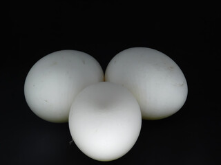 closeup of white eggs on black background