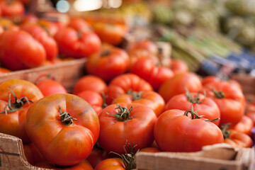 fresh tomatoes on branch in wicker baskets on counter