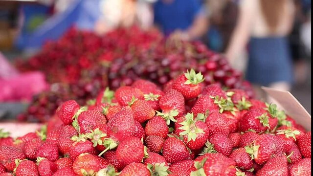 Close up of a pile of red ripe juicy strawberries with green rootlets and a price tag. Organic produce concept. Life camera