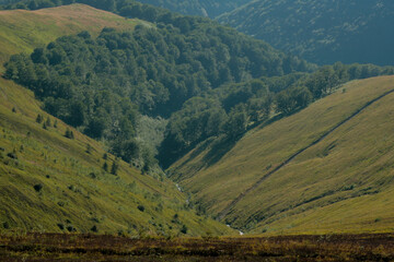 Fototapeta premium landscape in the summer mountains