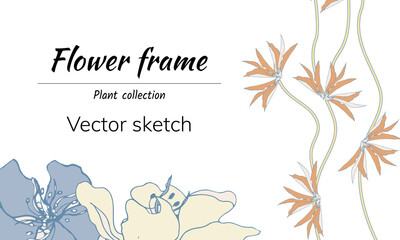 Vector floral banner with delicate flowers. Text frame for invitation and congratulations. Vector illustration.