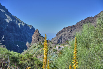 View on the masca valley in Tenerife.
