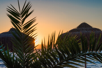 Fototapeta na wymiar Sunset and palm branch