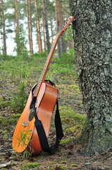 Close up of brown guitar standing on the ground in the forest near a tree with a background of pines.