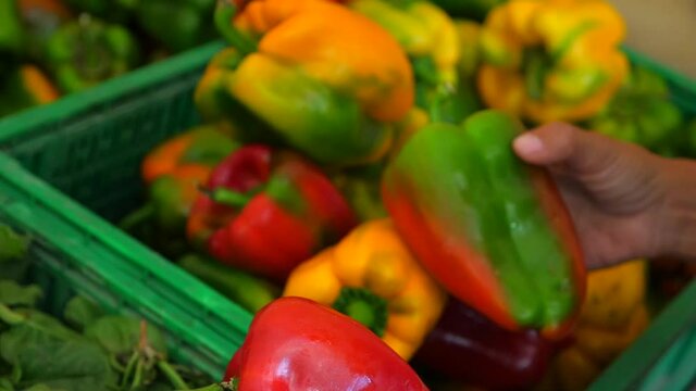Signora fa la spesa al mercato ortofrutticolo. Italia - peperoni - Lady is shopping at the fruit and vegetable market. Italy - peppers