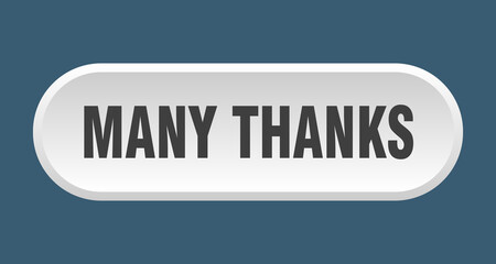 many thanks button. rounded sign on white background