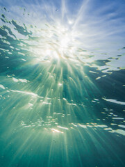 Fototapeta na wymiar Unterwasser Fotografie Atlantischer Ocean Reflections 