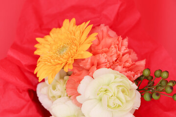 カーネーション 花 ギフト 母の日