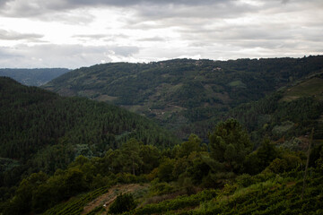 Vistas de la Ribeira Sacra en  A Cova, O saviñao, Galicia España