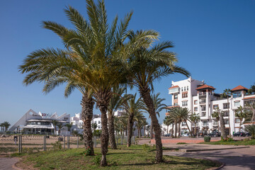Fototapeta na wymiar Jardines y palmeras en el paseo marítimo de Agadir, Marruecos
