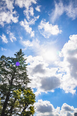 Obraz premium 青空と雲と新緑