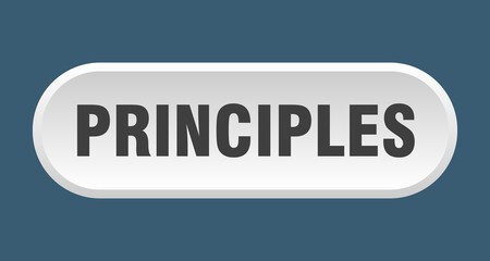 principles button. rounded sign on white background
