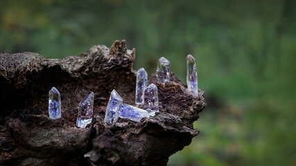 quartz crystals on nature forest background. Magic Rock for Crystal Ritual, Witchcraft, spiritual...