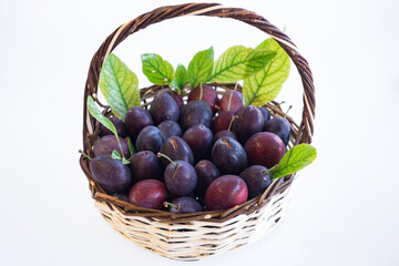 organic japanese angeleno plum type amber colored