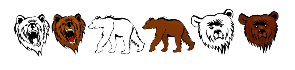 Set of drawings of a bear. Vector illustration