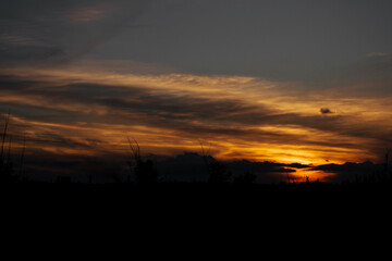 beautiful deep sunset in the suburbs, between the grasses the last rays of the sun.