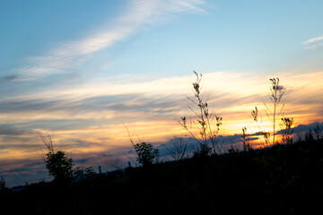 beautiful deep sunset in the suburbs, between the grasses the last rays of the sun.