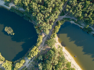 Two lakes in the park among conifers. Aerial drone view.