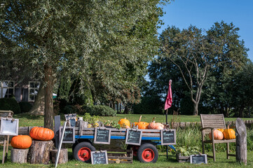 Dutch farm with a cart in the yard with vegetables, plants and pumpkins for sale.